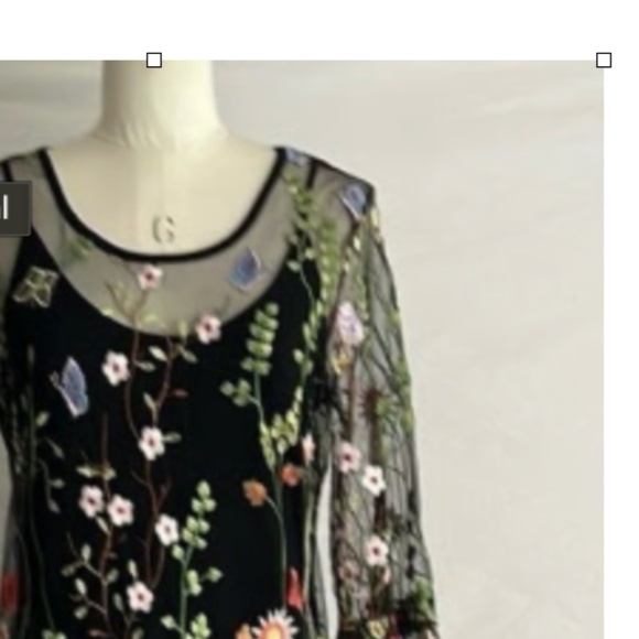 Hilary Radley for Katherine Barclay Black Floral Embroidered Mesh Dress — NWT - Picture 11 of 11